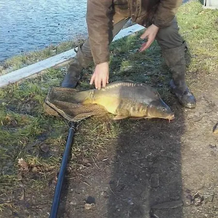 Renovee Avec Charme, Draps Inclus - Fr-1-489-177