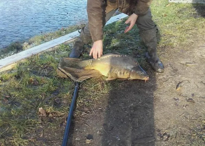 Renovee Avec Charme, Draps Inclus - Fr-1-489-177