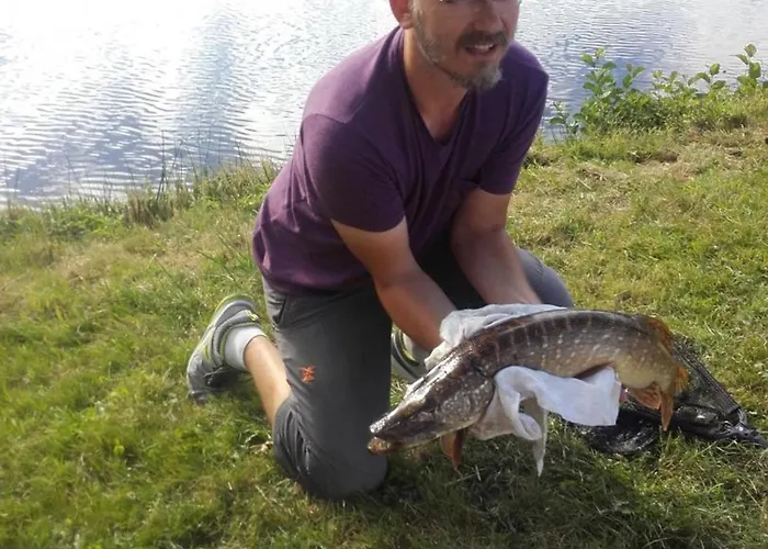 Renovee Avec Charme, Draps Inclus - Fr-1-489-177 Dom wakacyjny Deux-Chaises